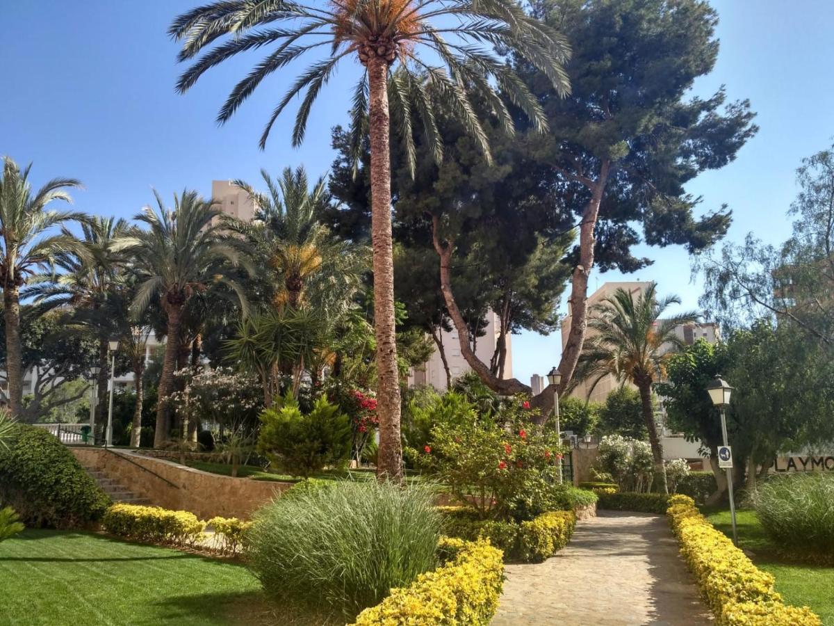 Wifi Loix Apartment Benidorm Exteriér fotografie